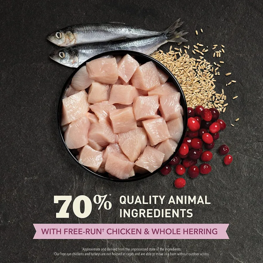 Acana First Feast Grain-Free Cat Food