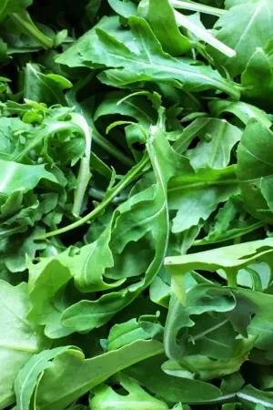 Arugula - Roquette (Seeds)