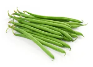 Bean - Blue Lake (Green Bush Bean) (Seeds)