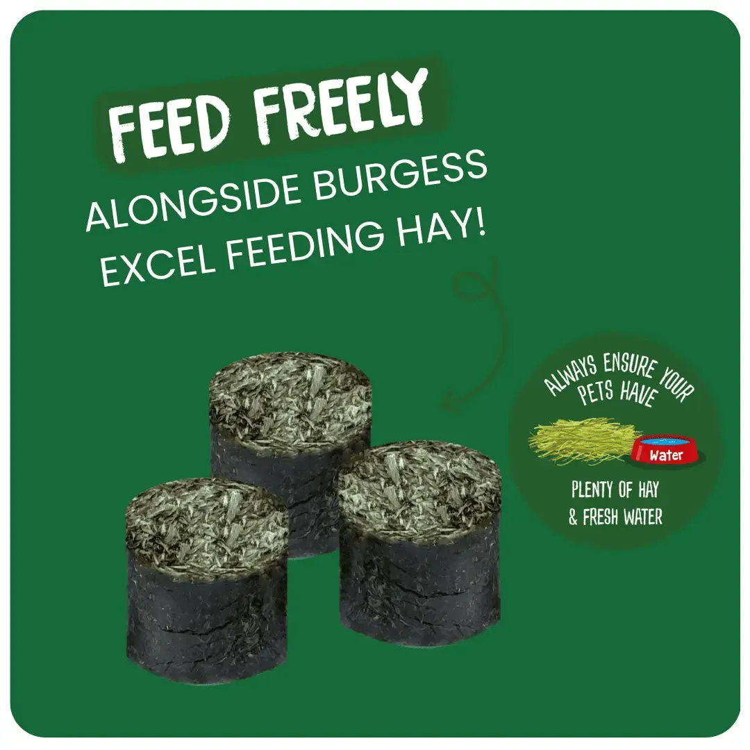 Burgess Excel Meadow Munchies 250g - Case of 4