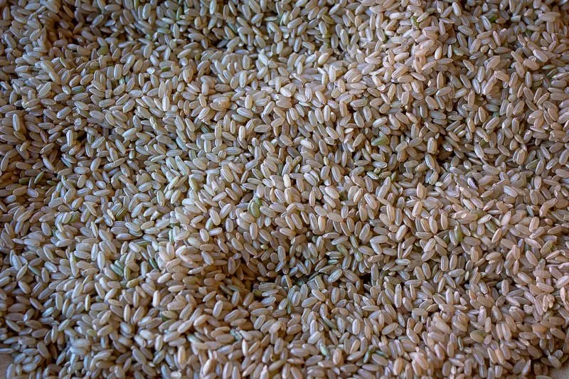 California Brown Rice