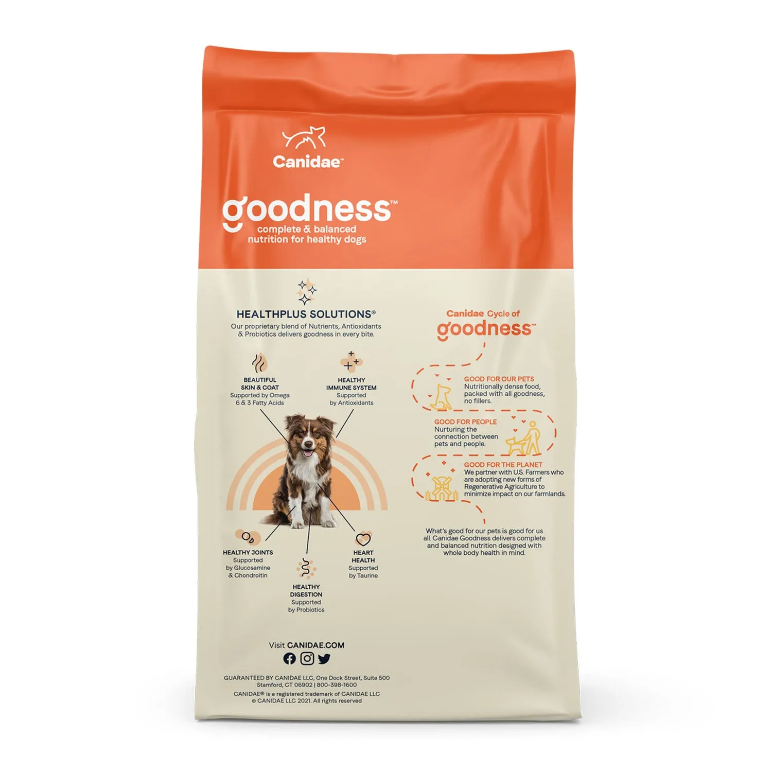 Canidae Goodness Salmon & Brown Rice Adult Dry Dog Food
