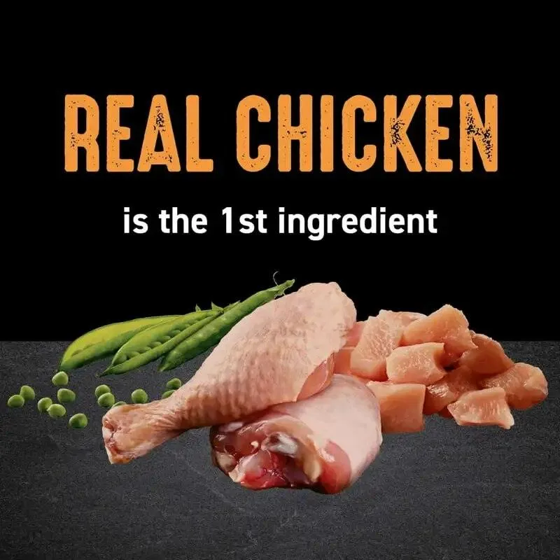 Chicken Protein Dry Cat Food 10 lb. Bag