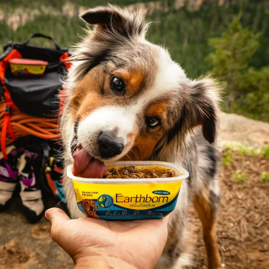 Earthborn Holistic Duke's Din Din Stew Grain-Free Natural Moist Dog Food, 9-oz