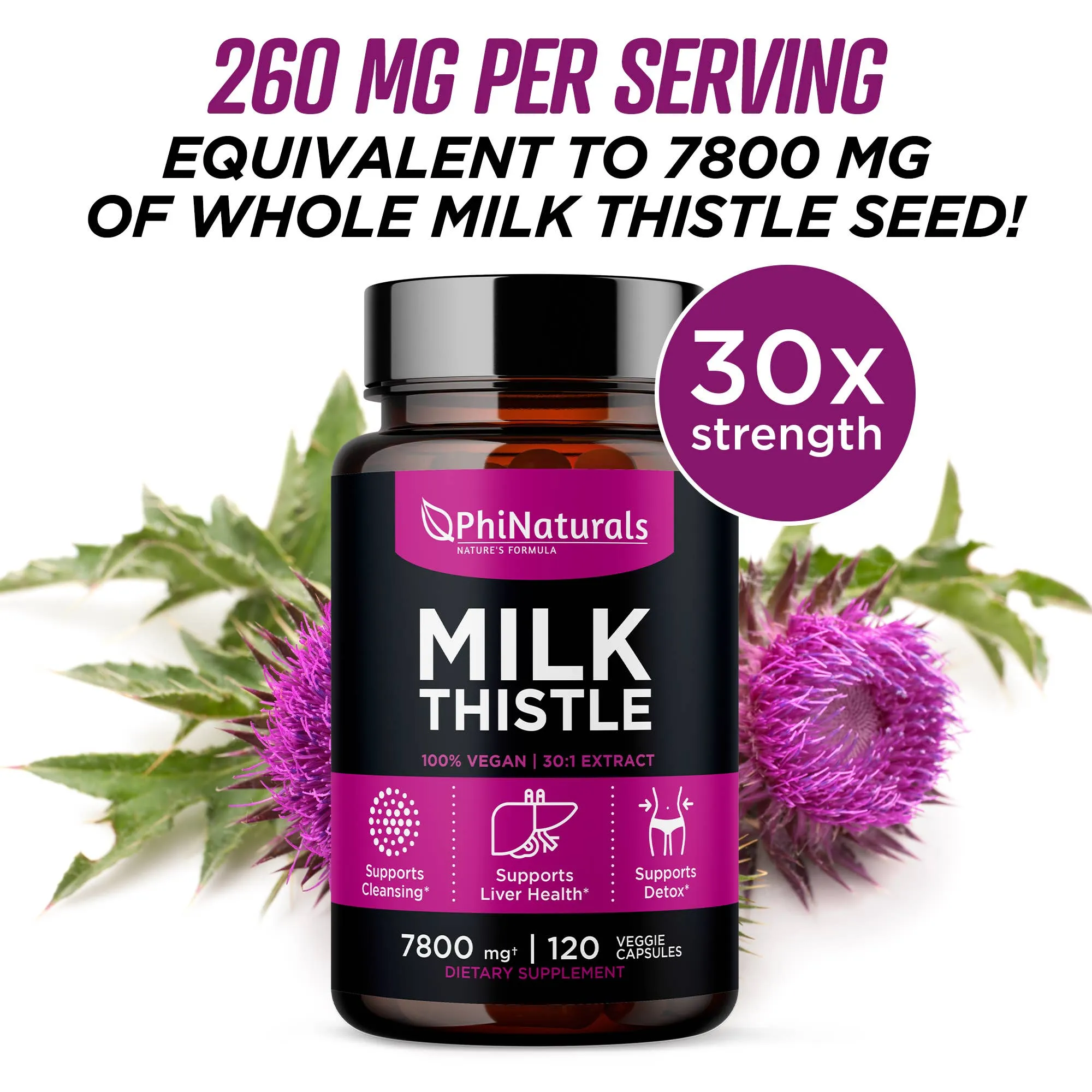 Excel Nutritionals LLC DBA Phi Naturals - Milk Thistle Silymarin 30x Extract Supplement: 1-Pack