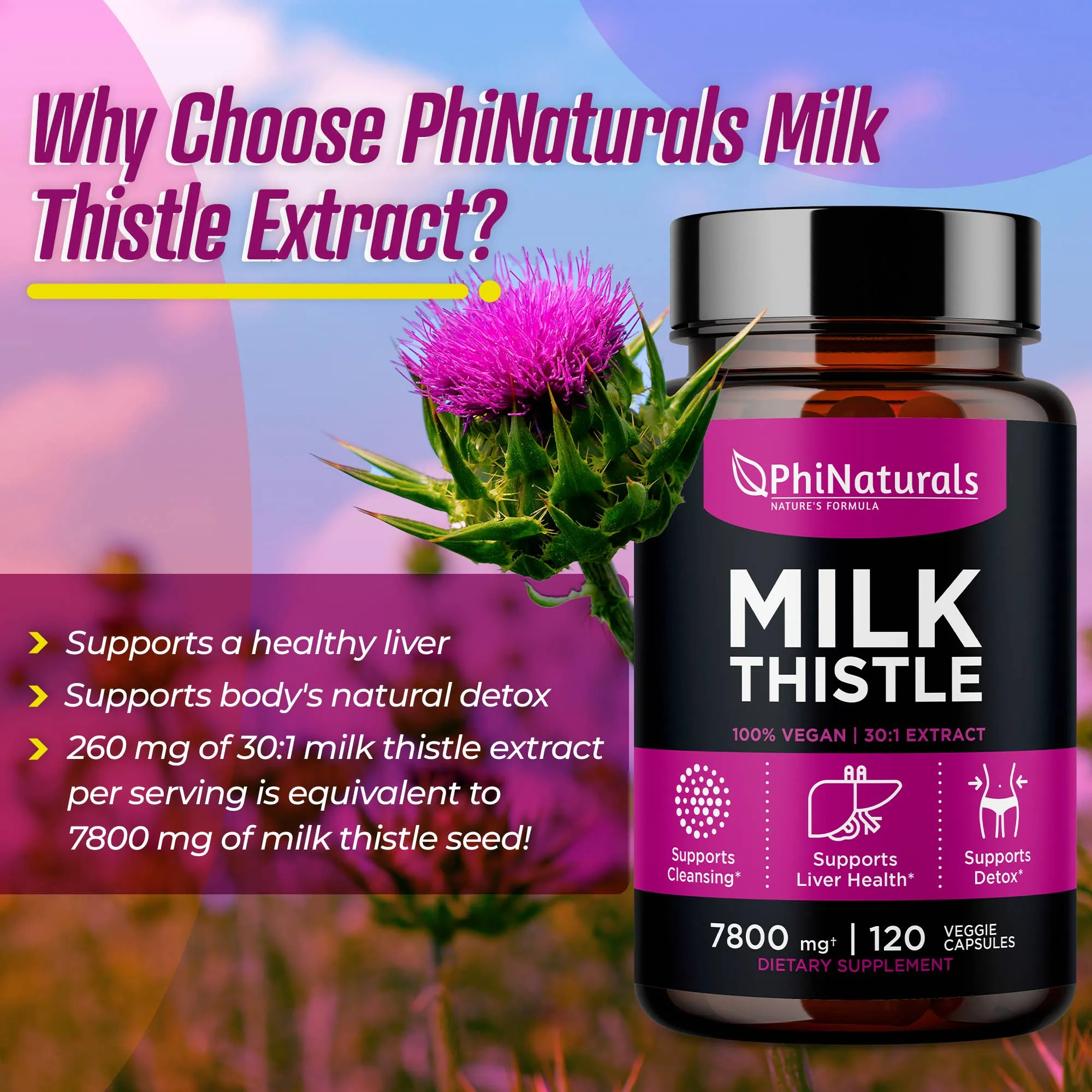 Excel Nutritionals LLC DBA Phi Naturals - Milk Thistle Silymarin 30x Extract Supplement: 1-Pack