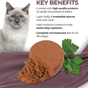 Fussie Cat Fine Dining Mousse Mackerel With Pumpkin Wet Cat Food, 2.47-oz