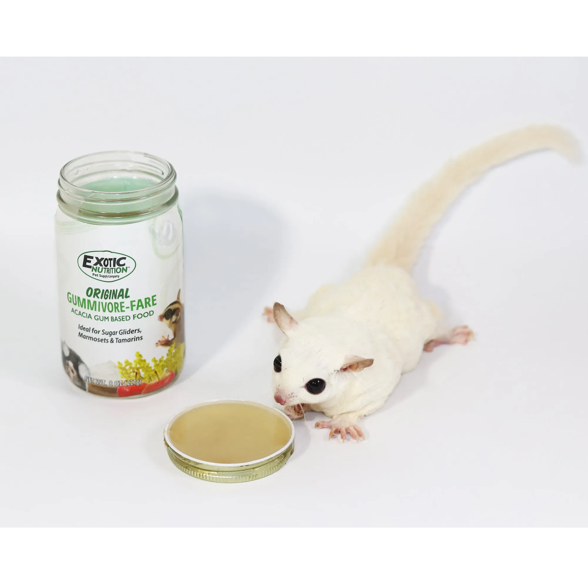 Gummivore-Fare Sugar Glider Food