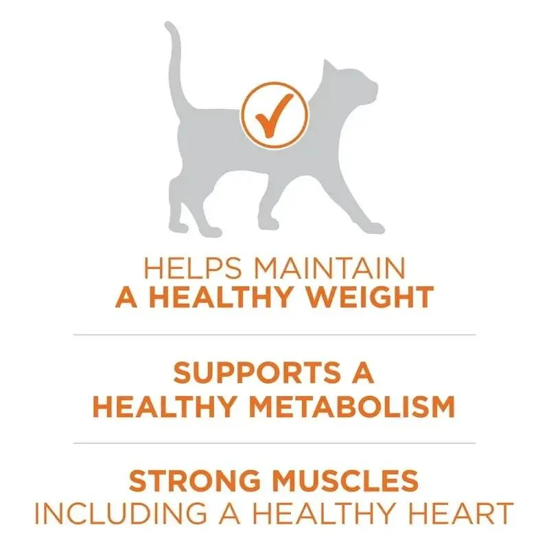 High Protein Turkey Cat Food 3.5lbs
