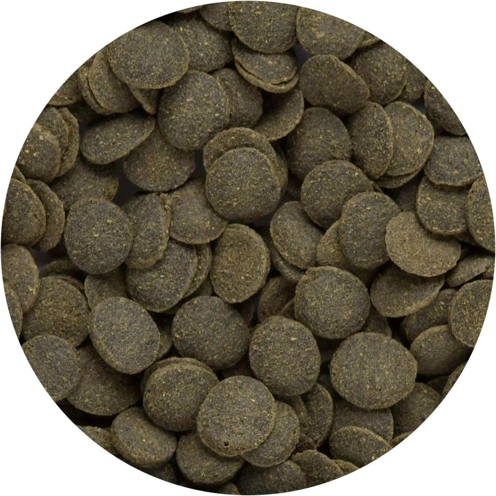 Hikari Mini Algae Wafers | Tropical Fish Food