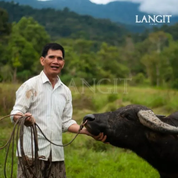 LANGIT Beras Salleh (White Rice) 1kg