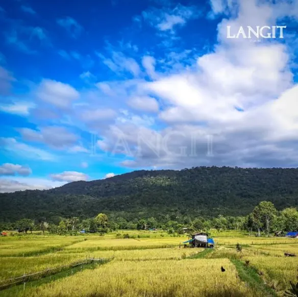 LANGIT Beras Salleh (White Rice) 1kg