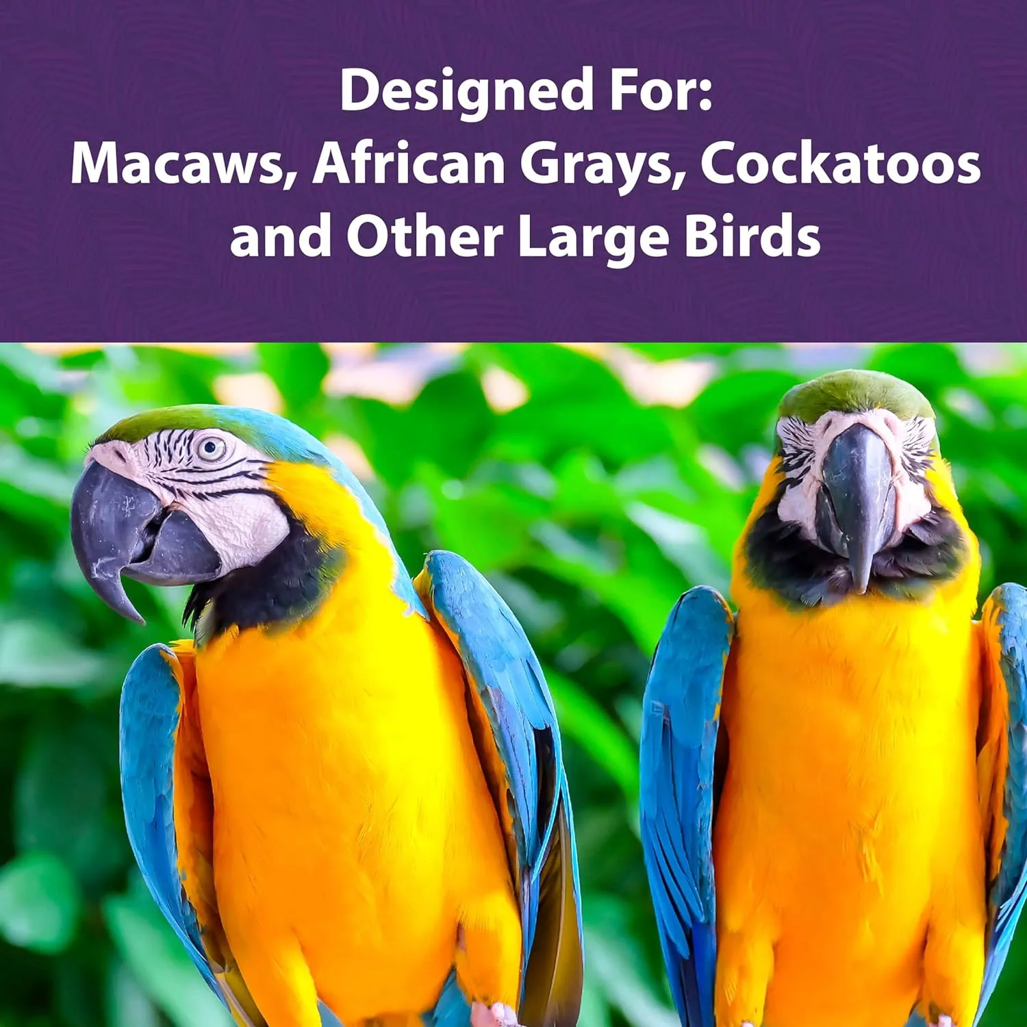 Mazuri Large Bird Diet 56A8