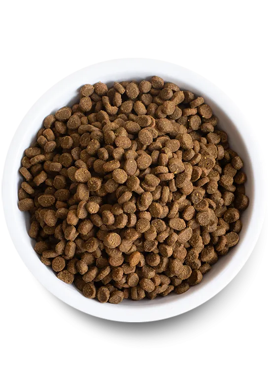 Open Wild-Caught Salmon Dry Cat Food (4-lbs)