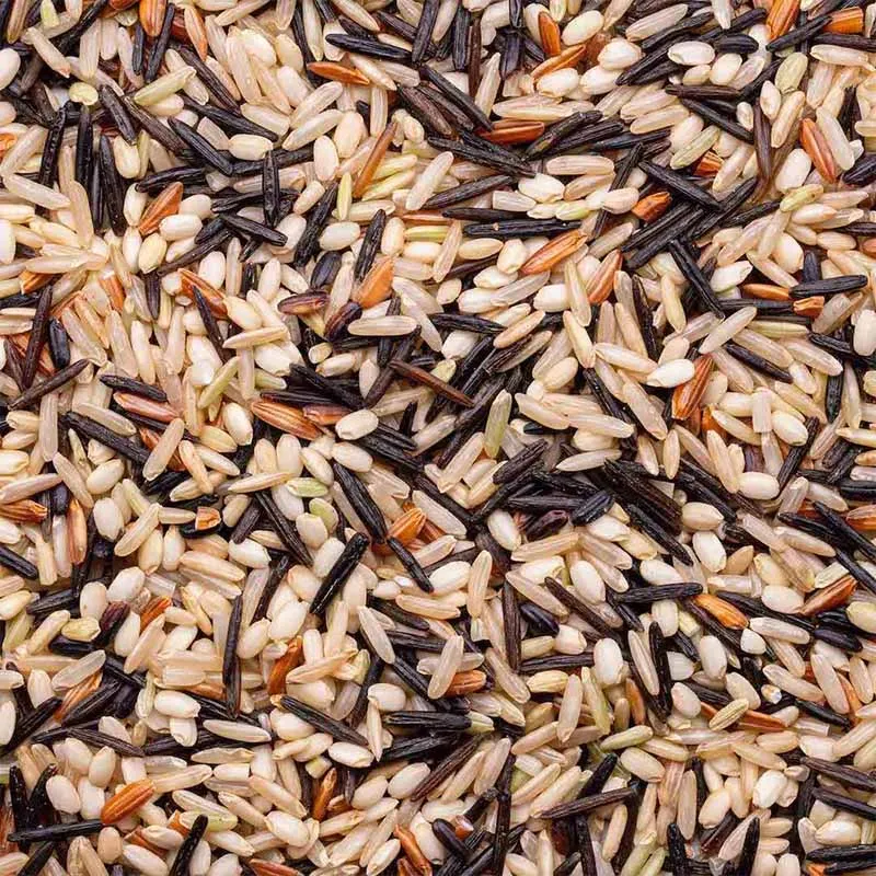 Organic Wild Blend® Rice