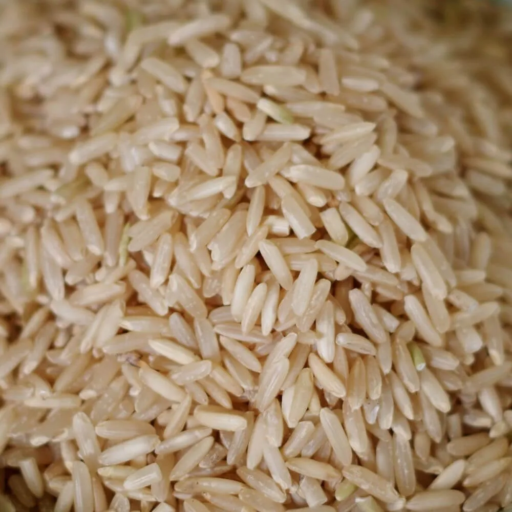 Rainy Day Foods Non-GMO Brown Rice Long 84 oz #10 Can - 53 Servings