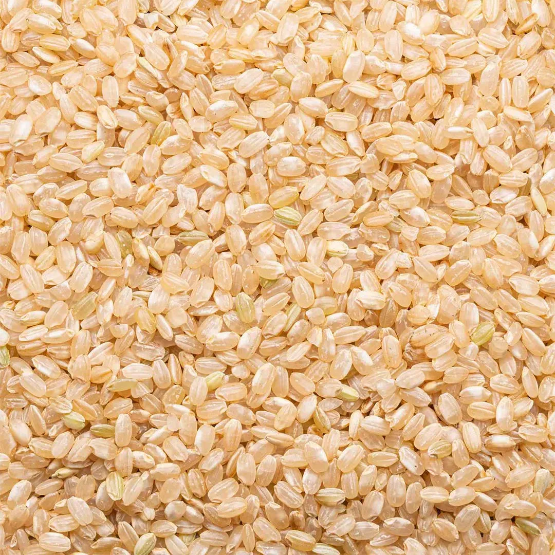Short Grain Brown Rice