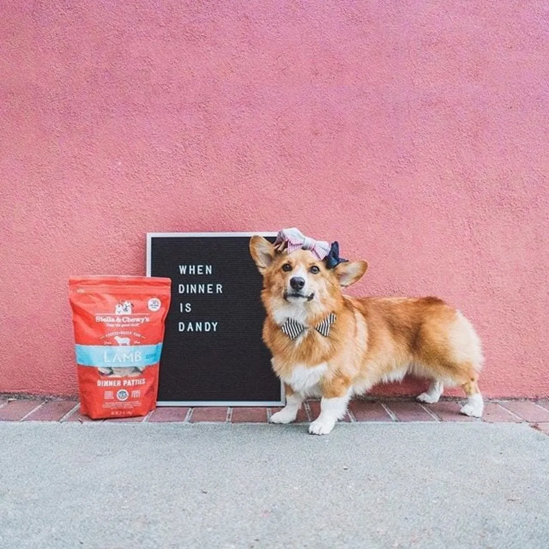 Stella & Chewy's Dandy Lamb Dinner Patties Freeze-Dried Dog Food