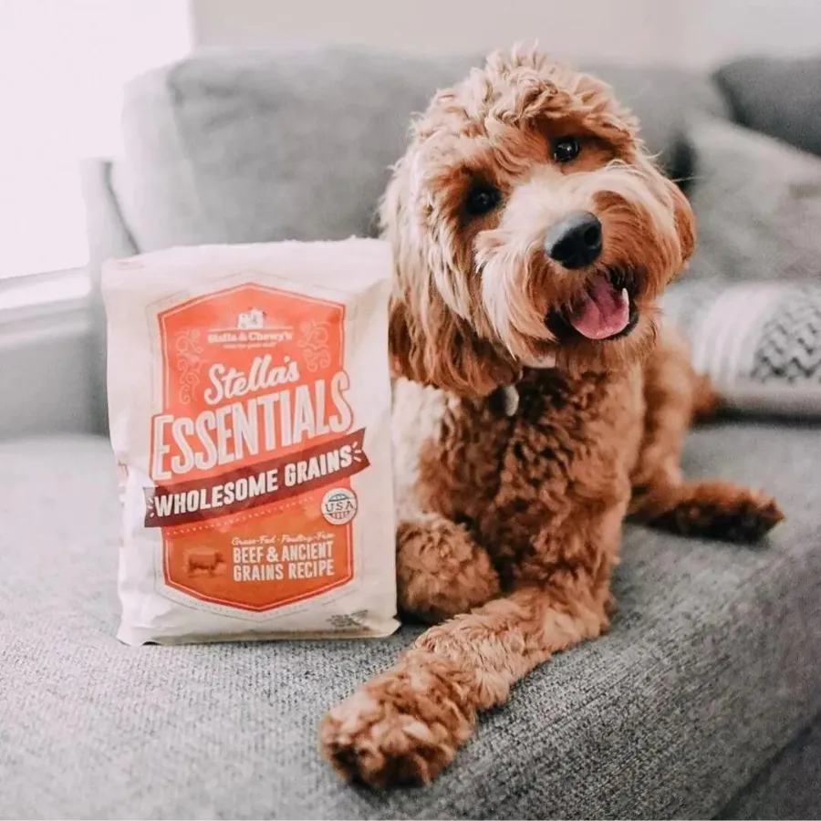 Stella & Chewy's Essentials Grass-Fed Beef & Ancient Grains Recipe Dog Food