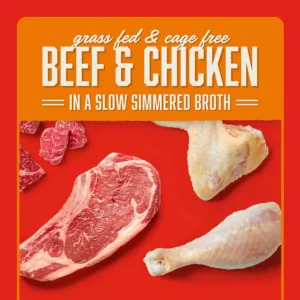 Stella & Chewy's Shredrs Beef & Chicken Dog Food 2.8 oz