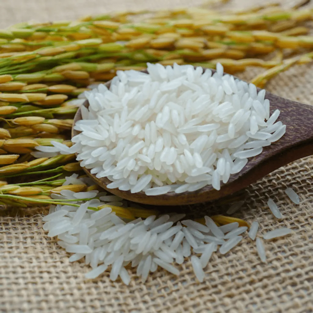  Sticky Rice (Glutinous Rice)