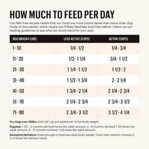 The Honest Kitchen Grain Free Chicken Recipe Whole Food Clusters Dog Food