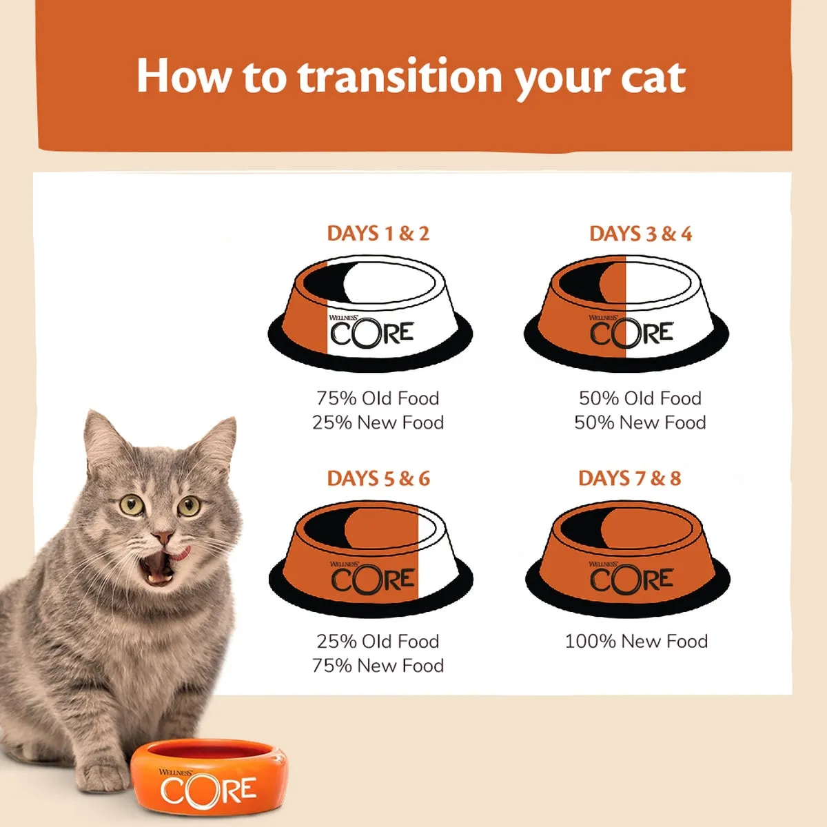 Wellness CORE Cat Wet Adult Signature Selects Flaked Multipack 8 x 79g